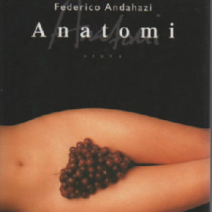 Anatomi