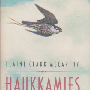 Haukkamies