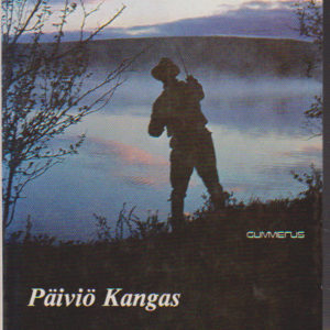 Virroilta ja karikiviltä