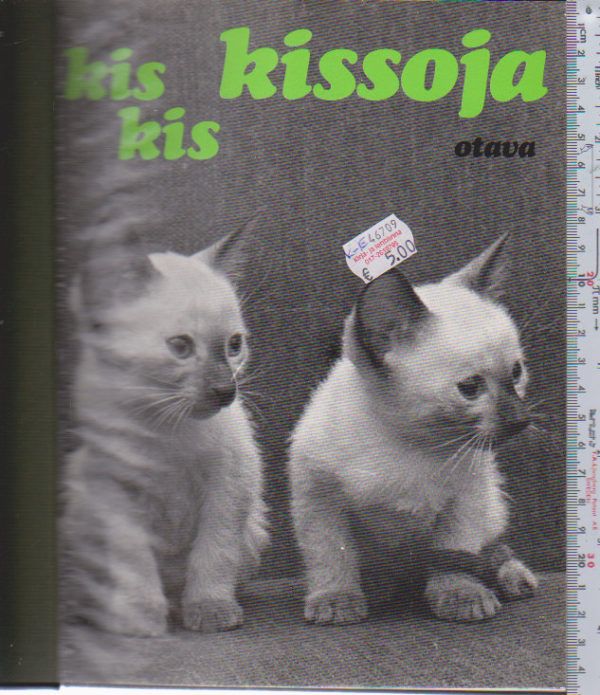 Kis kis kissoja