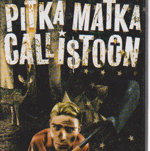 Pitkä matka Callistoon