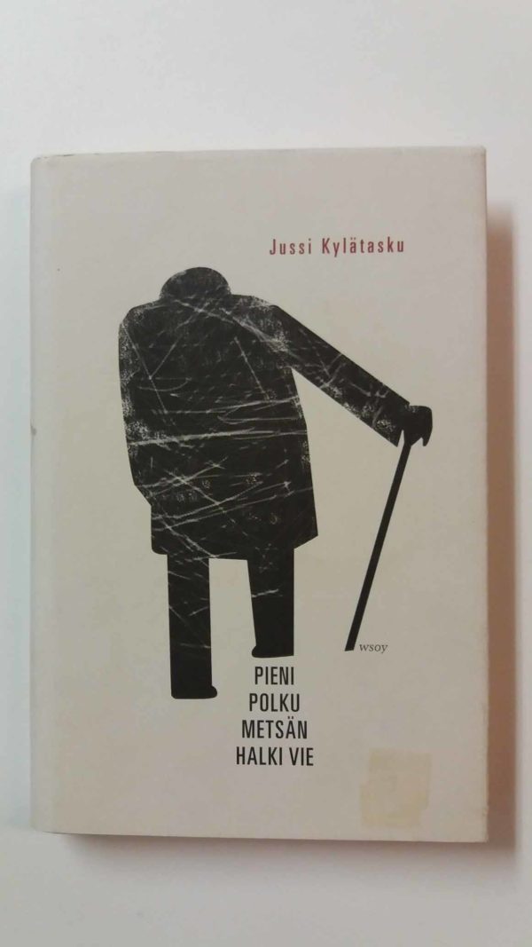 Pieni polku metsän halki vie