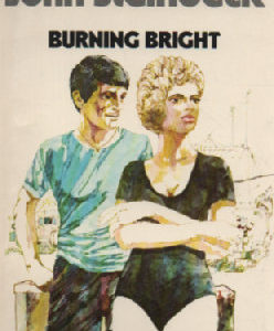 Burning bright