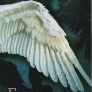 Enkelioppi