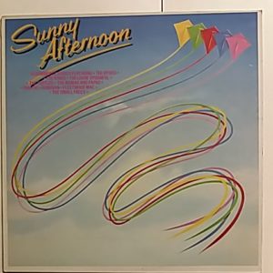 Sunny Afternoon - 20 Summer Classics