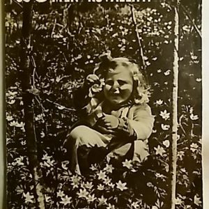 Suomen Kuvalehti : 1941-20
