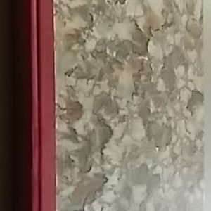 Lasinen pyykkilauta-romaani äidistä ja pojasta