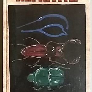 Nefritite