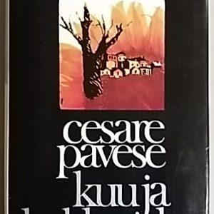 Kuu ja kokkotulet