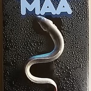 Veden maa