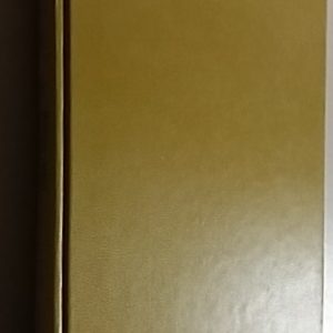 Buddenbrookit : erään suvun rappeutumistarina (Nobel)