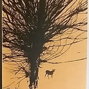 Miksi annan ääneni : runoja