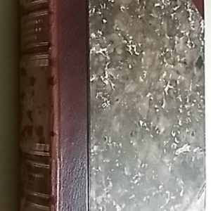 Unkarilainen rapsodia. Romaani Franz Lisztin elämästä