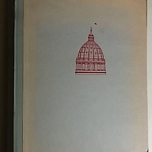 Michelangelo . sein leben in geschichte und kultur seiner zeit, der blutezeit der kunst in florenz und rom