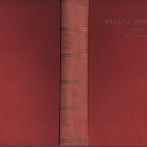Palava nuoruus