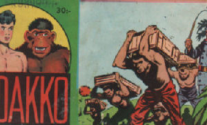 Viidakko 1959-19