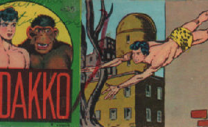 Viidakko 1963-24
