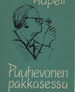 Puuhevonen pakkasessa