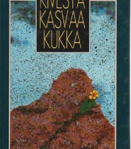 Kivestä kasvaa kukka