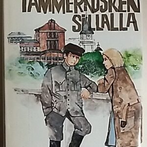 Tammerkosken sillalla