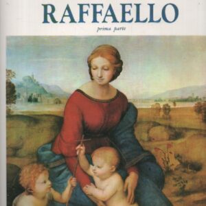 Raffaello prima parte : I maestri del colore
