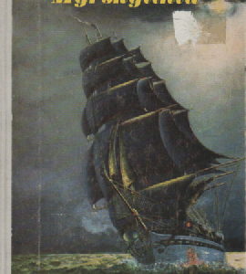 Myrskylintu